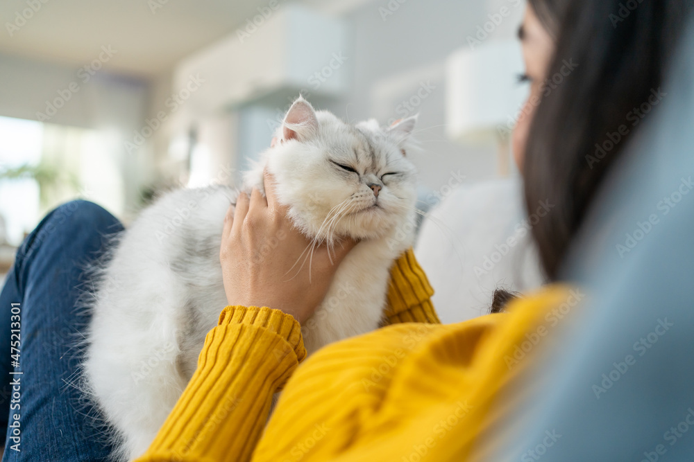 亚洲女人在家里快乐地抱着小猫玩耍。