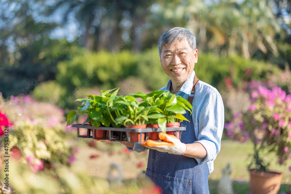 花园里的老人