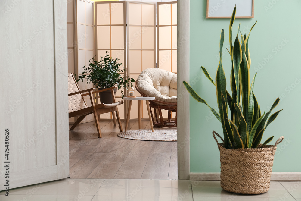 Houseplant near opened door in room