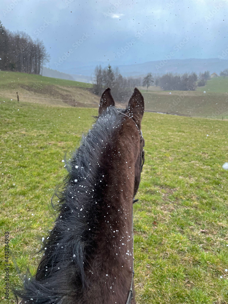 视角：当你骑马在牧场周围时，雪花开始从天空中飘落。