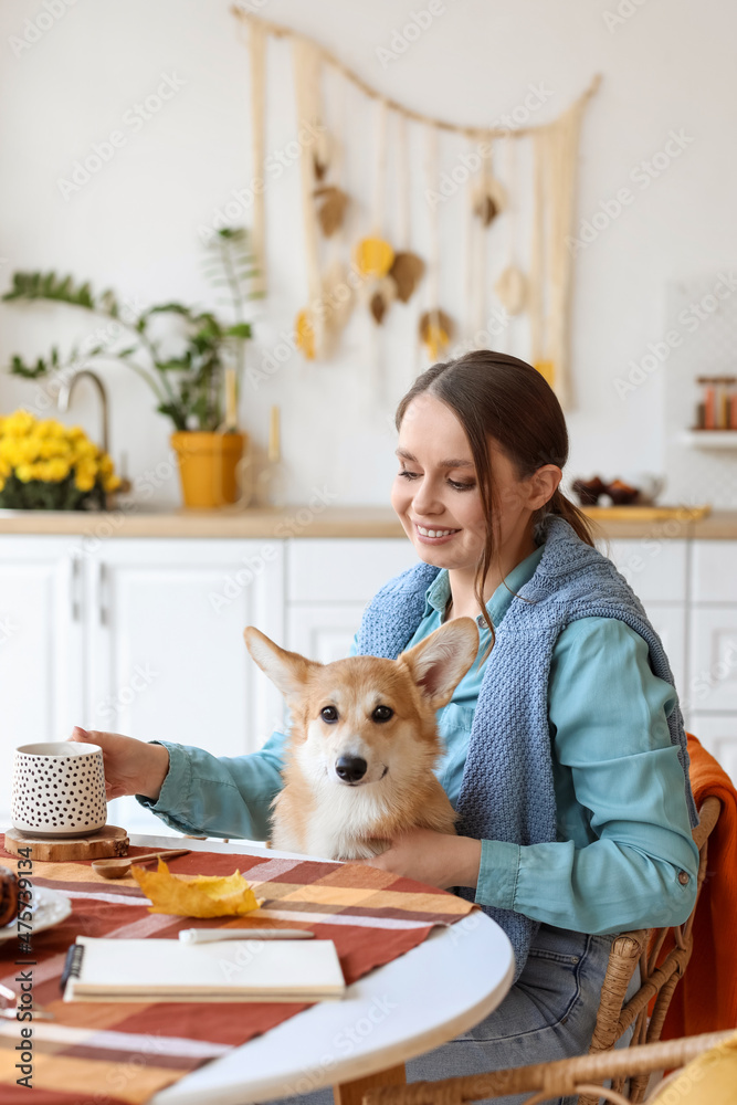 年轻女人带着可爱的柯基犬和一杯茶坐在厨房的桌子旁