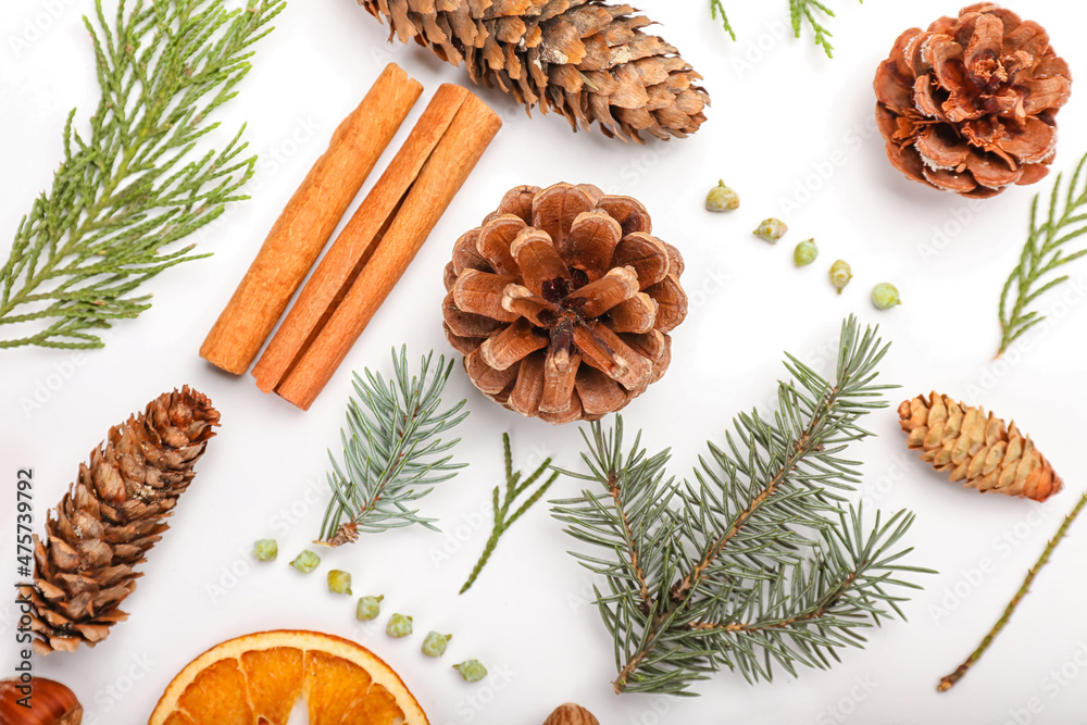 Beautiful winter composition with natural forest decor and cinnamon on white background, closeup