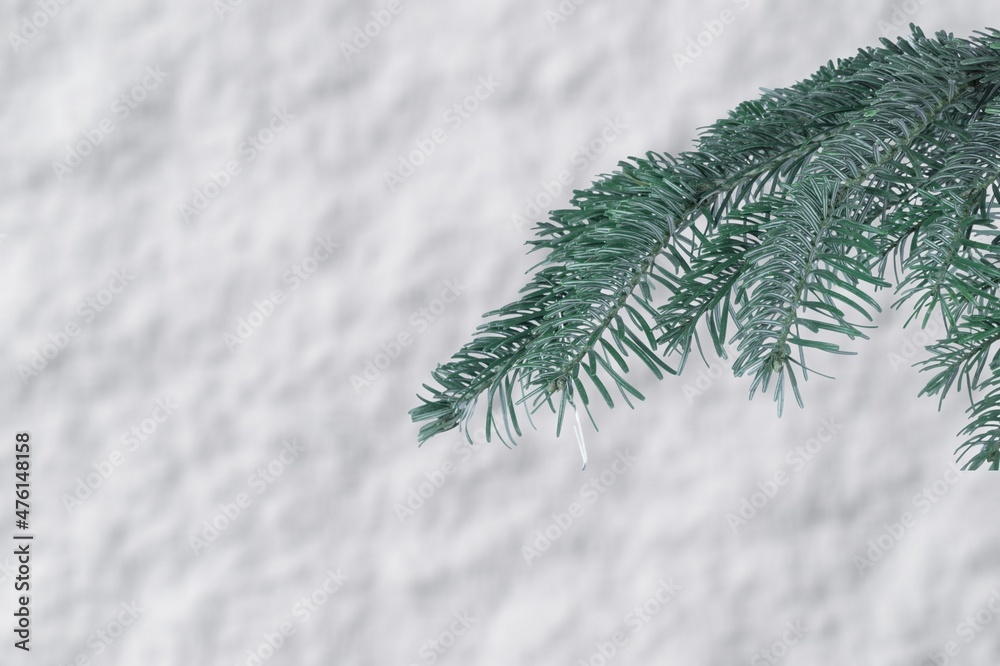 美丽的冬季针叶林，树木覆盖着霜和雪。自然冬季背景