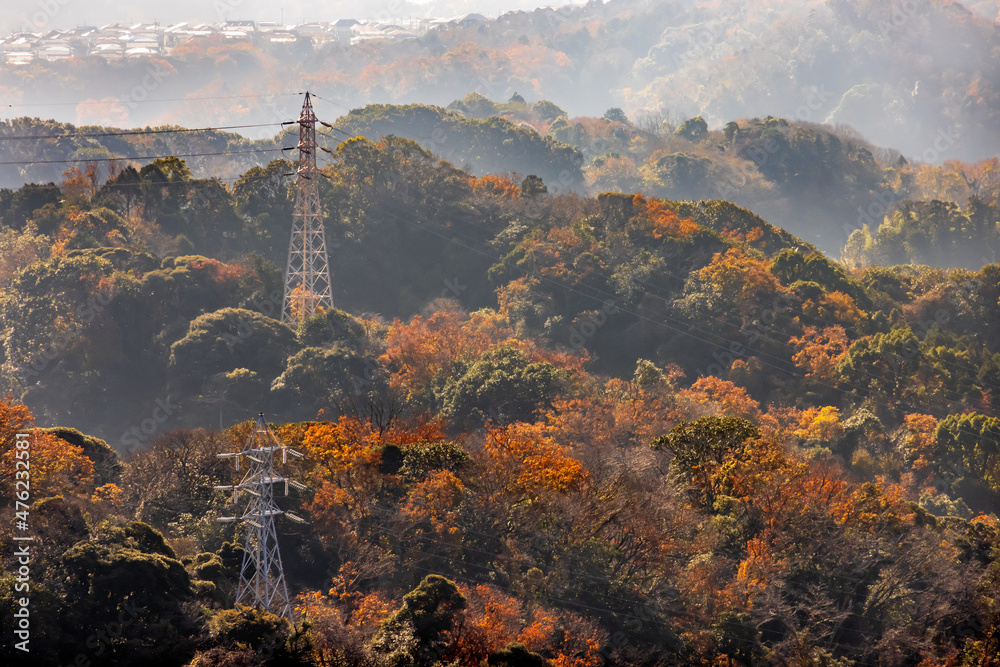 美しい山と紅葉した木