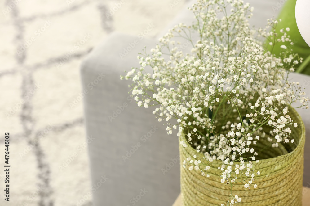 Basket with gypsophila flowers on table near sofa in living room, closeup