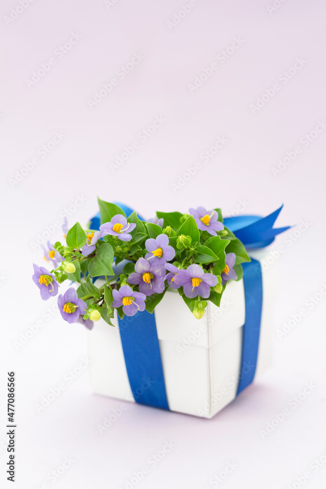 Flower decoration on Present box ,gift box