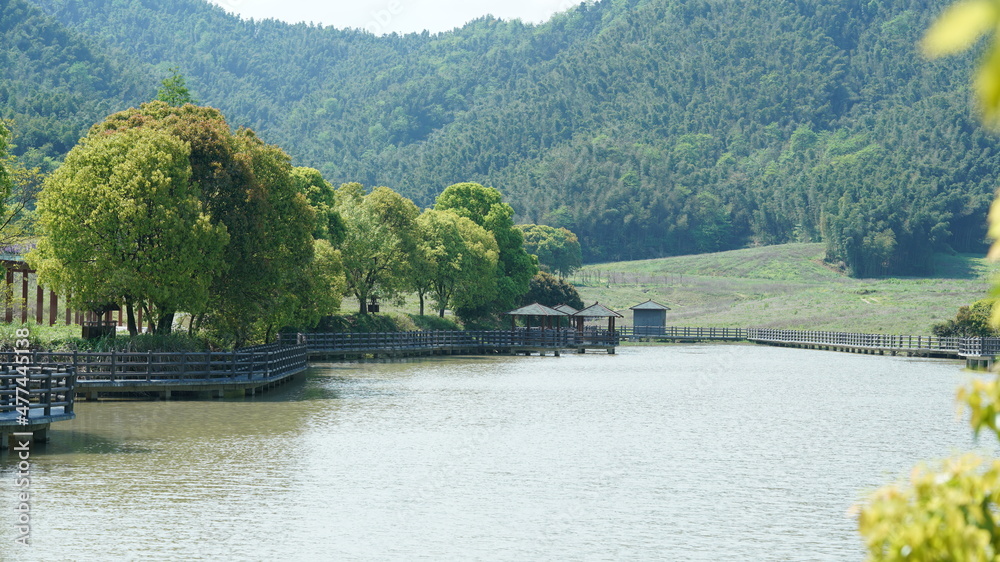 美丽的中国传统村落景观，古典建筑和新鲜的绿树