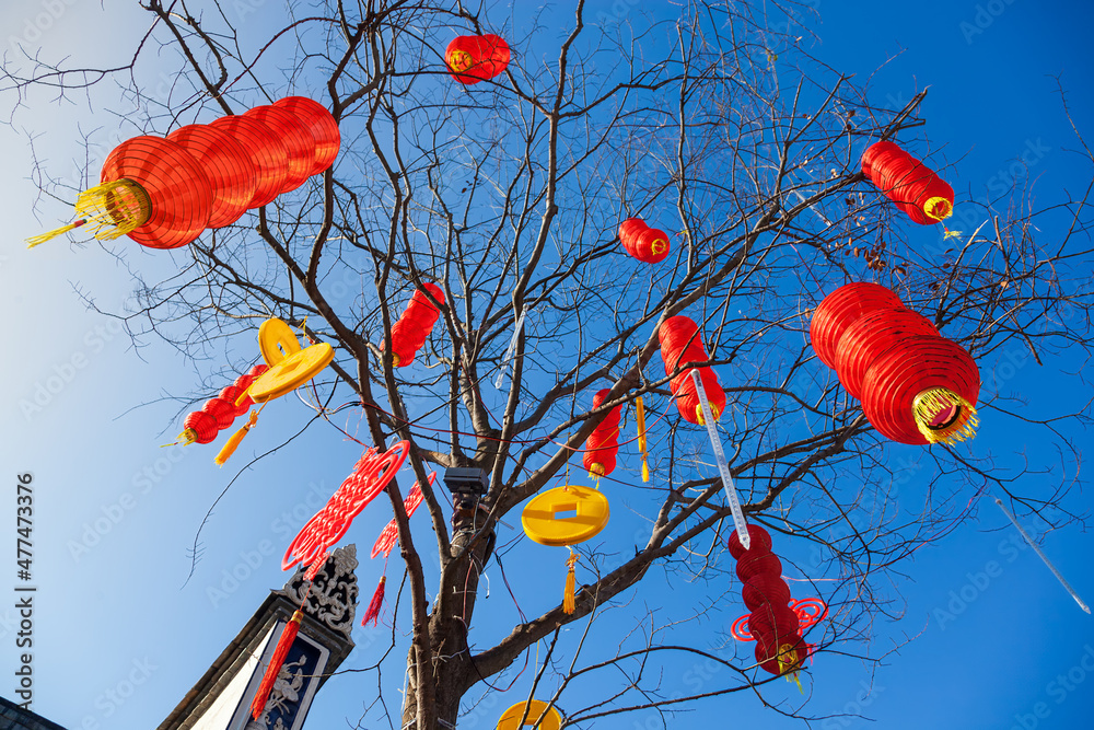 挂在树上的中国农历新年红灯笼，中国福建福州