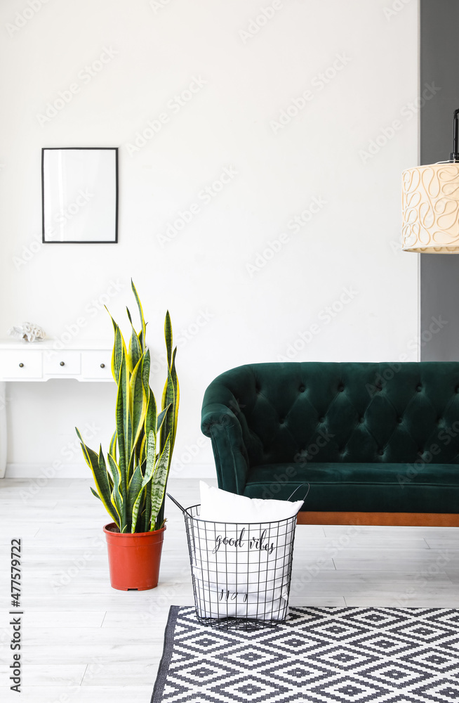 Green sofa, basket with pillows and houseplant in living room