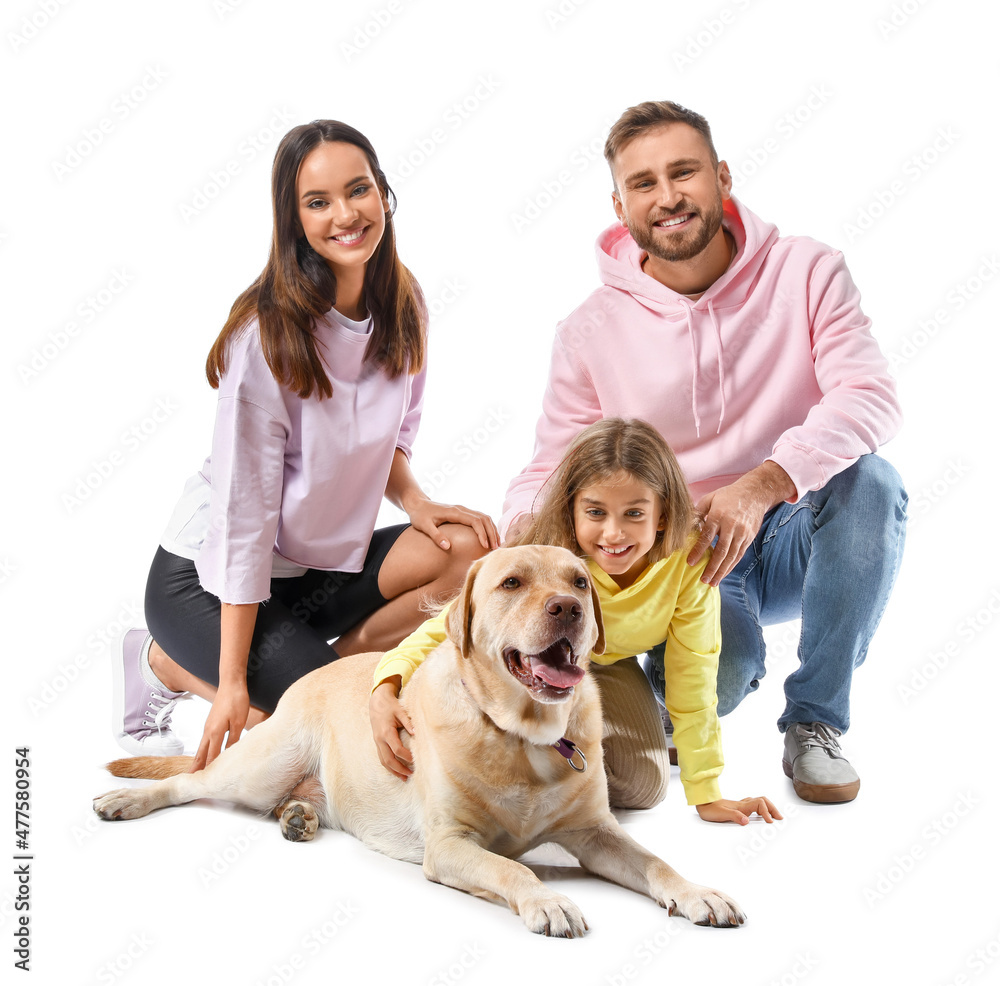 Happy parents with cute little daughter and Labrador dog on white background