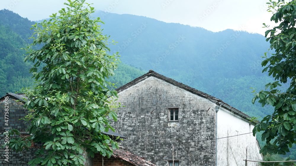 美国以绿色森林和小村庄为背景的美丽山区景观