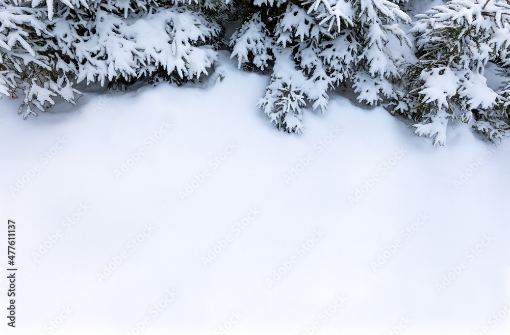 有树木和复制空间的雪花壁纸背景