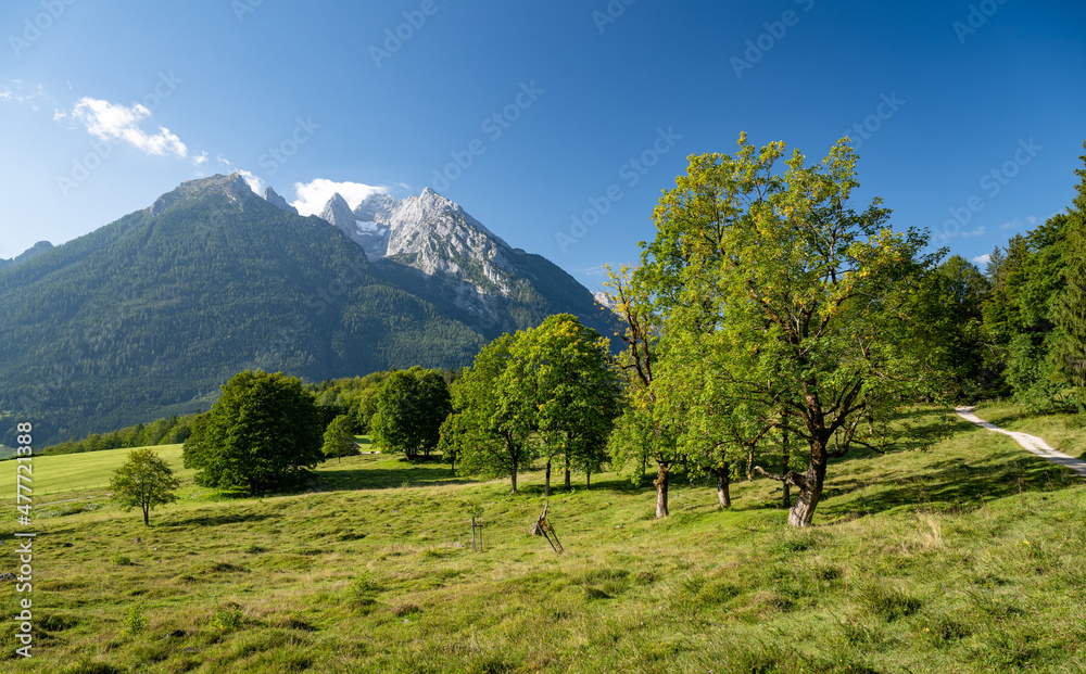 德国巴伐利亚州拉姆绍的夏季景观，可欣赏到令人印象深刻的霍奇卡特山脉