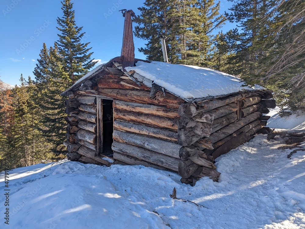 house in the woods