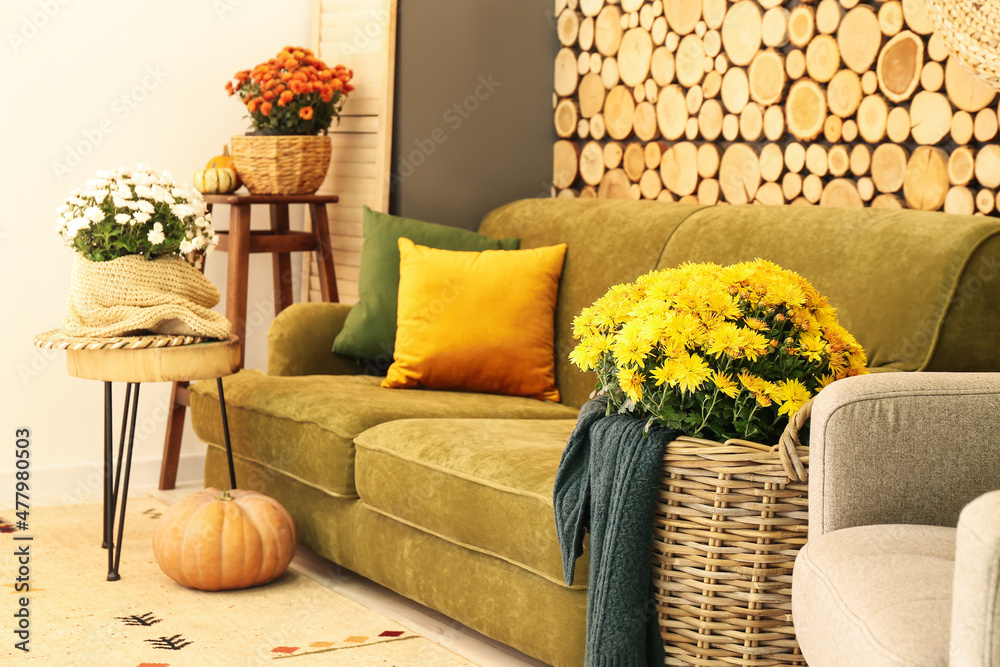 Comfortable sofa and Chrysanthemum flowers near wooden wall in living room interior