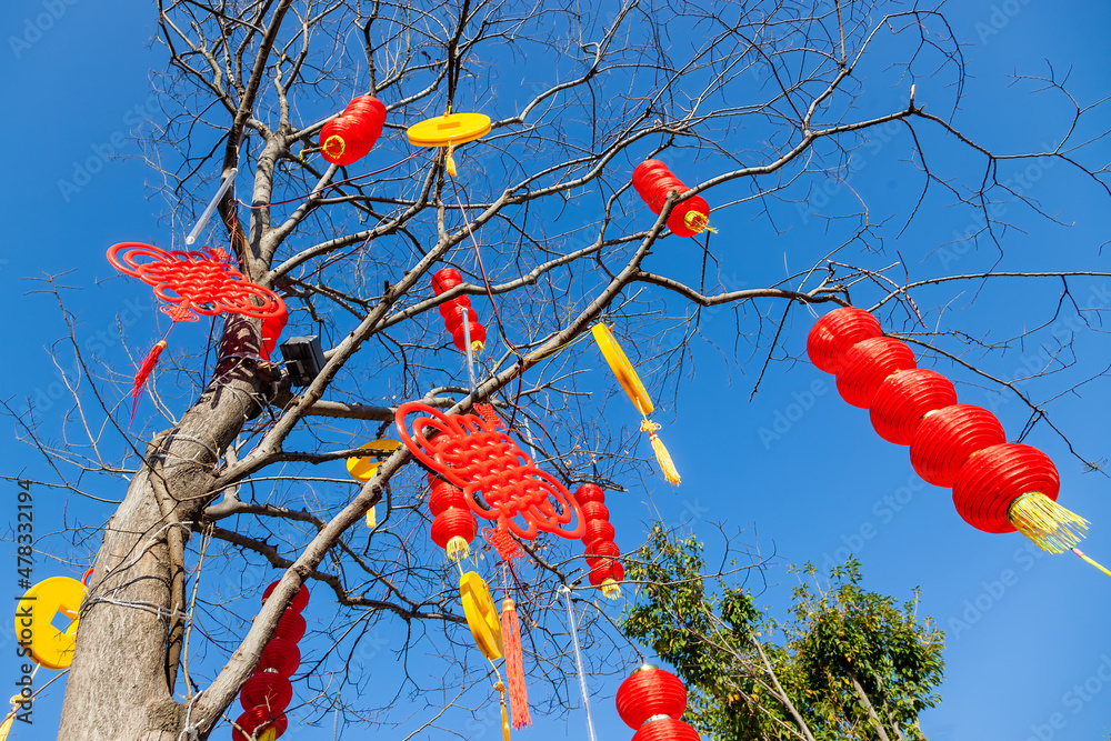 中国农历新年树上挂着红色中国结和纸灯笼