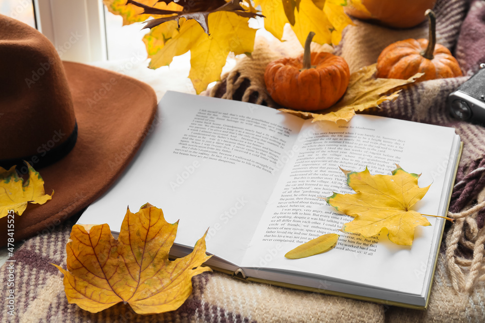 Beautiful composition with opened book, felt hat and autumn decor on windowsill, closeup