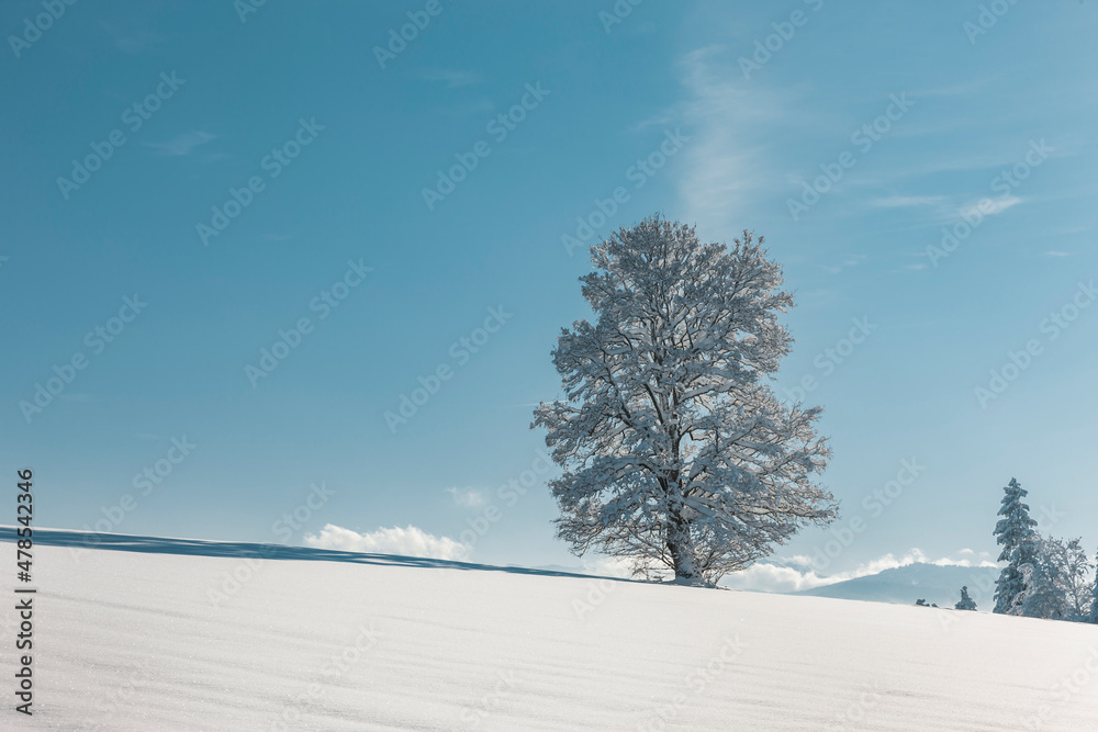 Winterlandschaft im Allgäu