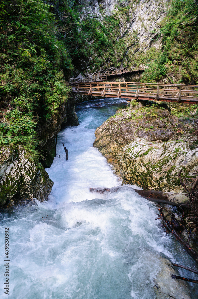 Vintgar Gorge in Slovenia near Lake Bled. Wild nature with river and waterfall in deep canyon. Acces