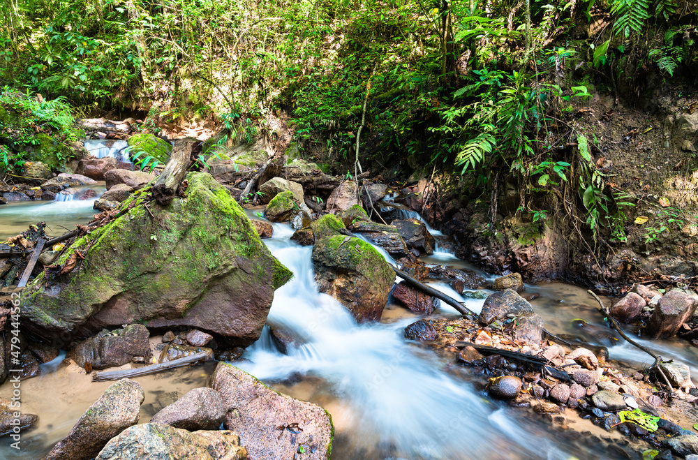 El Tirol waterfall in the high rainforest of Chanchamayo in Junin, Peru