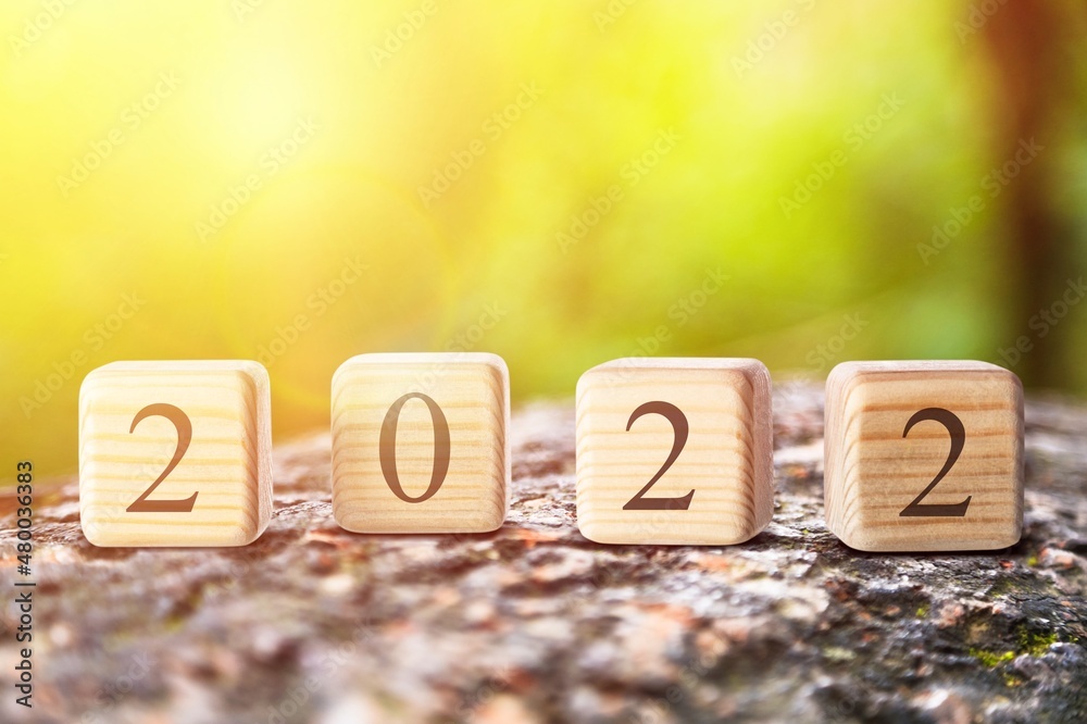 Goodbye year. Wooden blocks with numbers 2022 on nature background