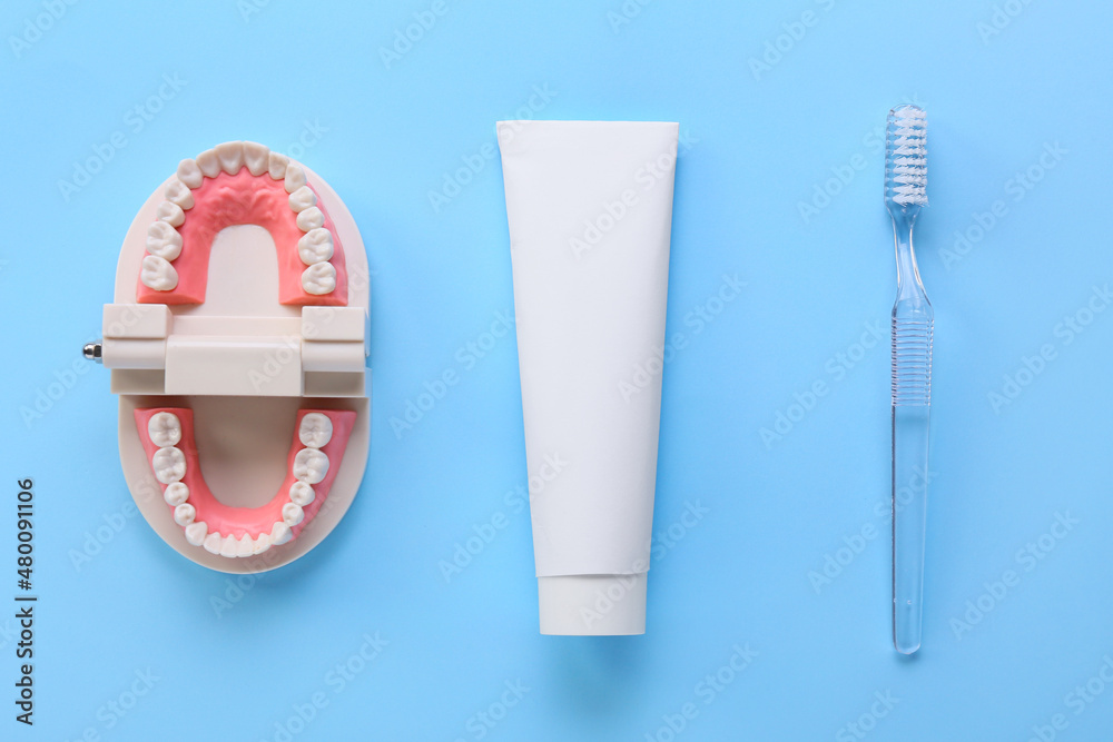 Tube with tooth paste, brush and model of jaw on blue background