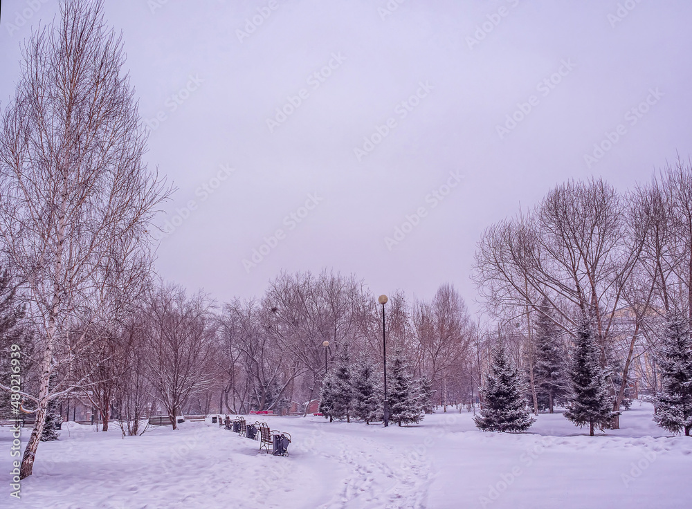 雪下的城市公园。冬季城市景观。