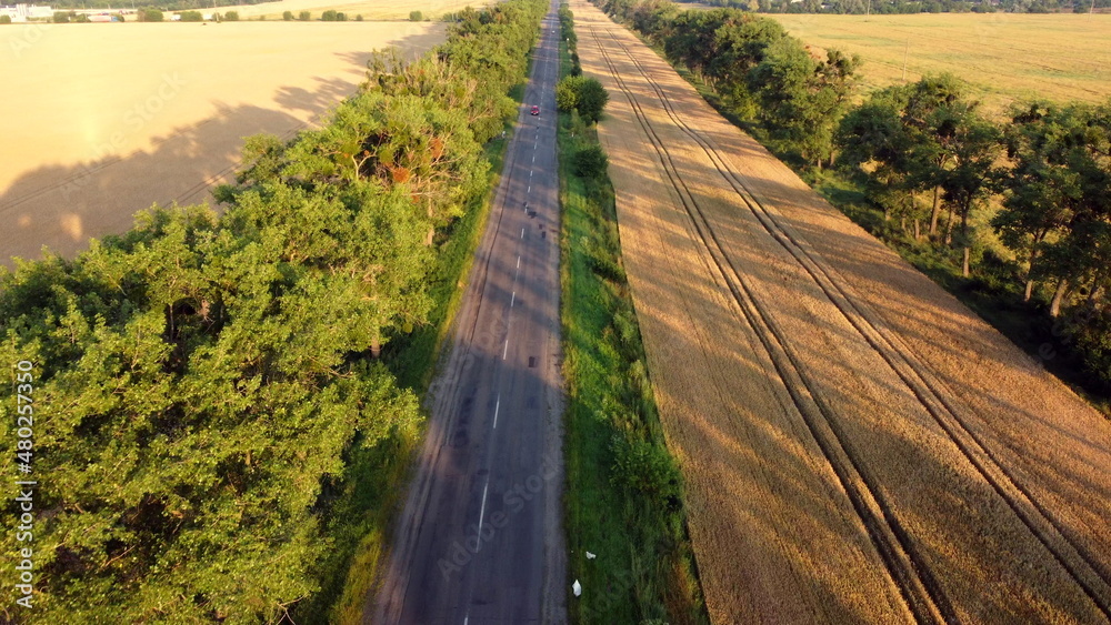 日落黎明时，无人机在高速公路、麦田和绿树上观看飞行。t的长阴影