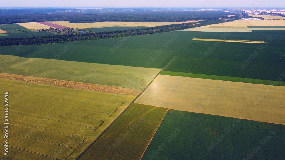 Aerial drone view flight over different agricultural fields sown with various rural agricultural cul