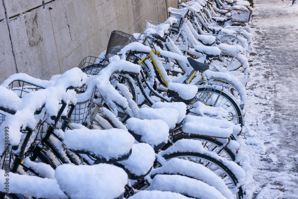 雪が降った翌朝の自転車置き場