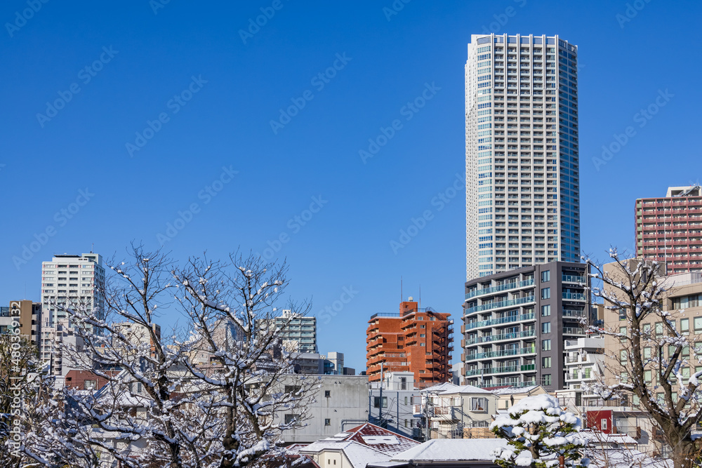 東京の街に降り積もった雪と綺麗な青空