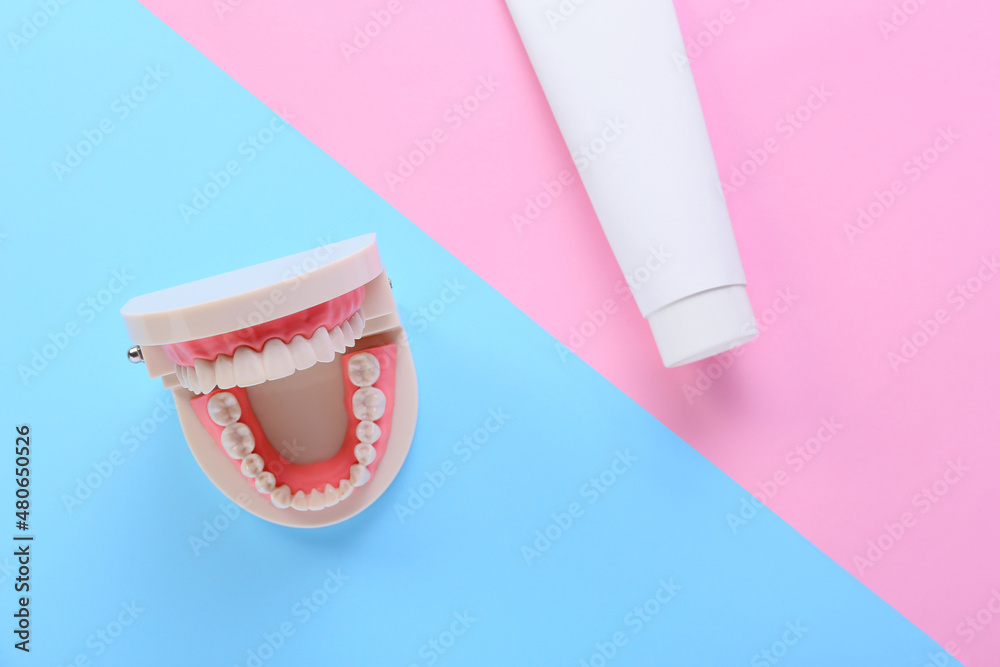 Tube with tooth paste and model of jaw on color background