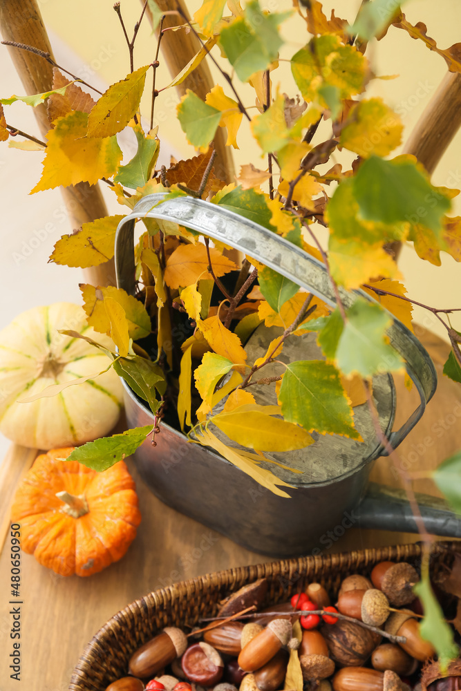 Beautiful autumn composition with branches in watering can, pumpkins and basket, closeup