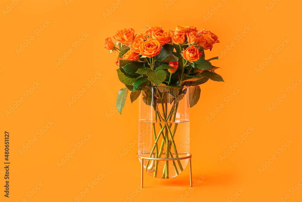 Vase with beautiful orange roses on color background