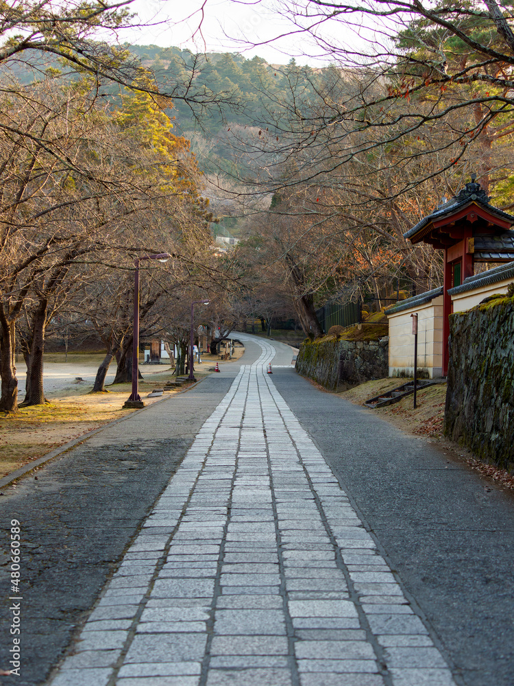 東大寺裏参道の石畳