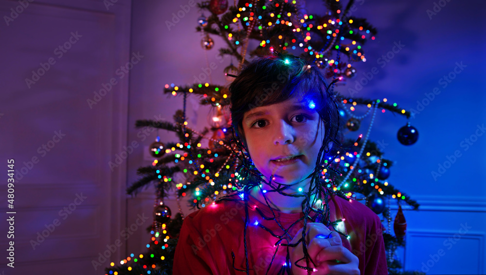 Child near New Year tree hold color lights garland