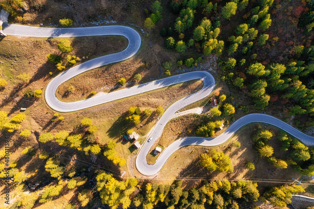 空中的自然景观。秋天的道路和森林鸟瞰图。空中的夏天