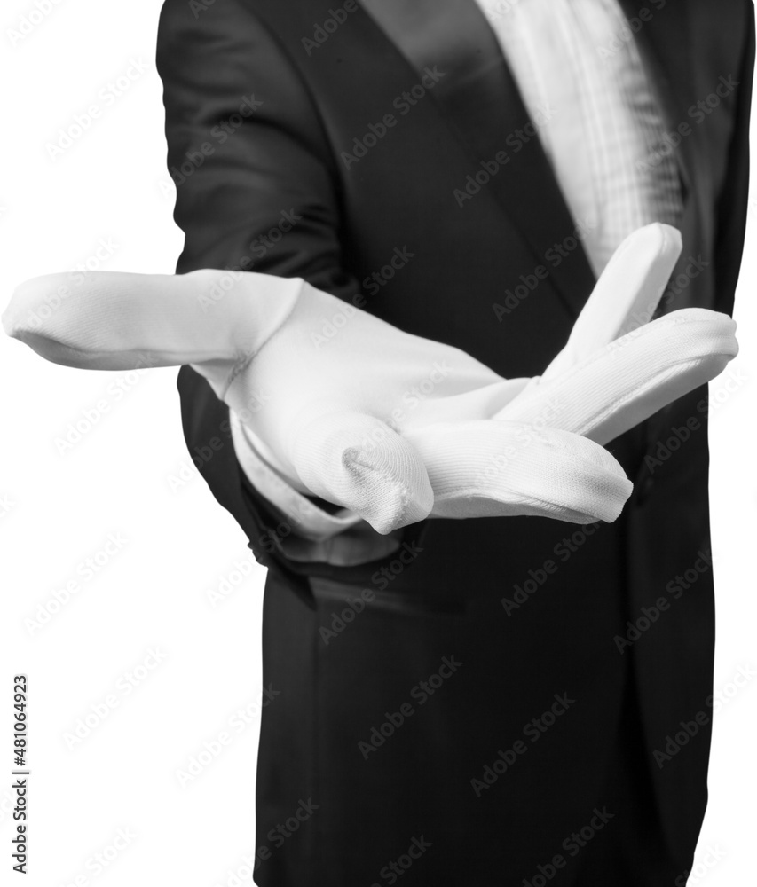 Elegant waiter hand in white glove holding an empty plate