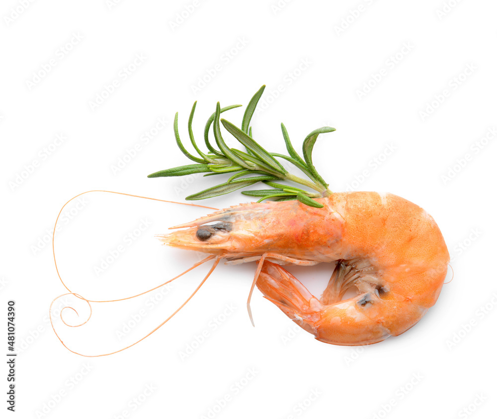 Tasty boiled shrimp with rosemary on white background