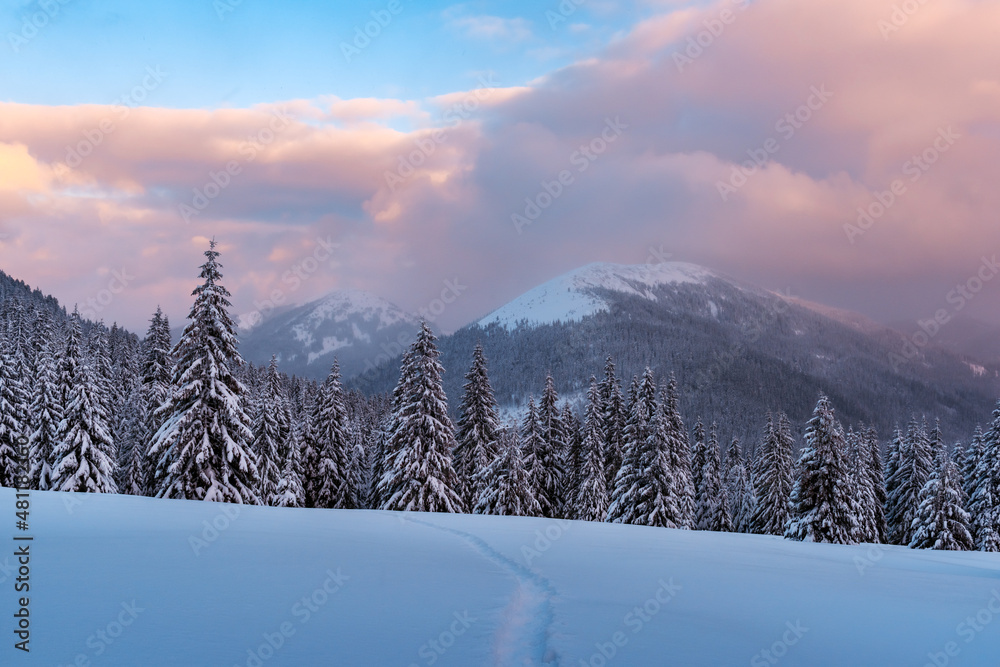 在清晨的阳光下闪闪发光的雪山中，奇妙的冬季景观。戏剧性的冬季场景智慧