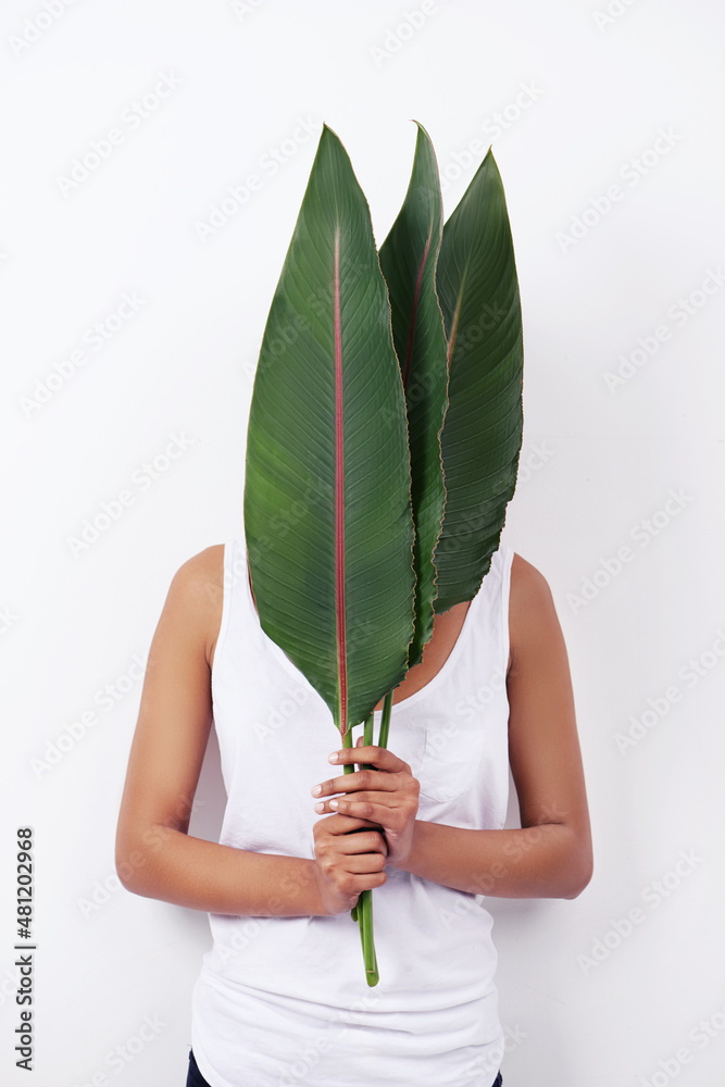 Hidden beauty. Studio shot of an attractive young ethnic woman holding palm fronds in front of her f