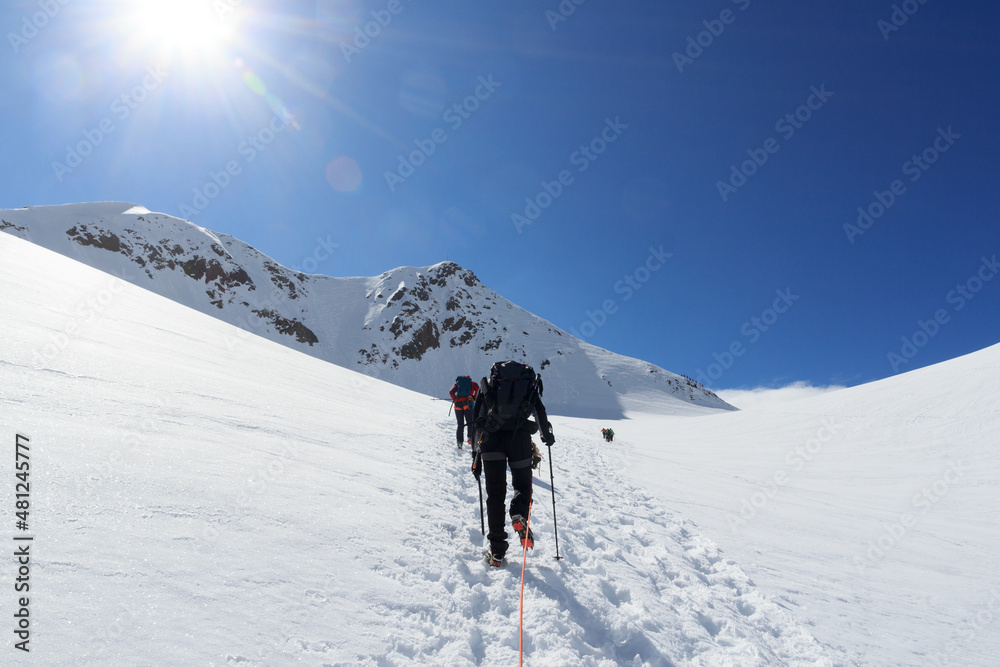 绳索队在Taschachferner冰川上用冰爪向Wildspitze和mountain sno登山