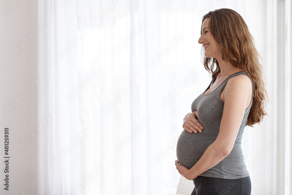 Her baby is in safe hands. Cropped shot of a young pregnant woman standing in her home.