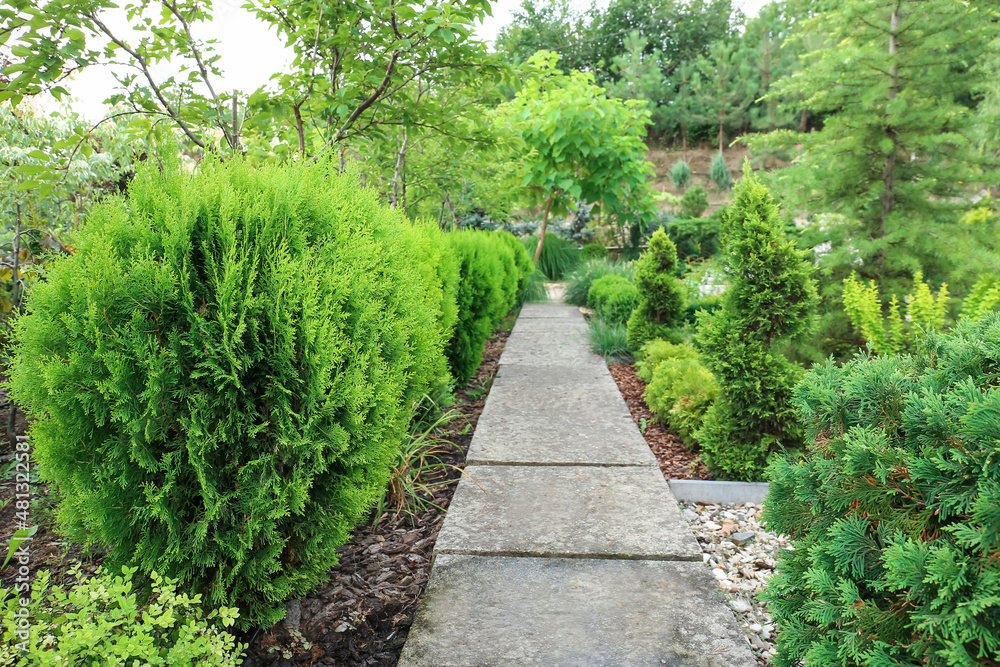 Alley in beautiful green park