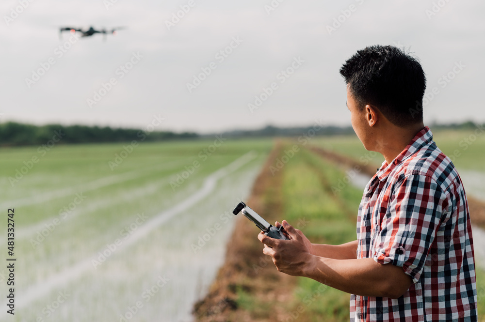 farmer navigating drone above farmland. High technology innovations for increasing productivity in a