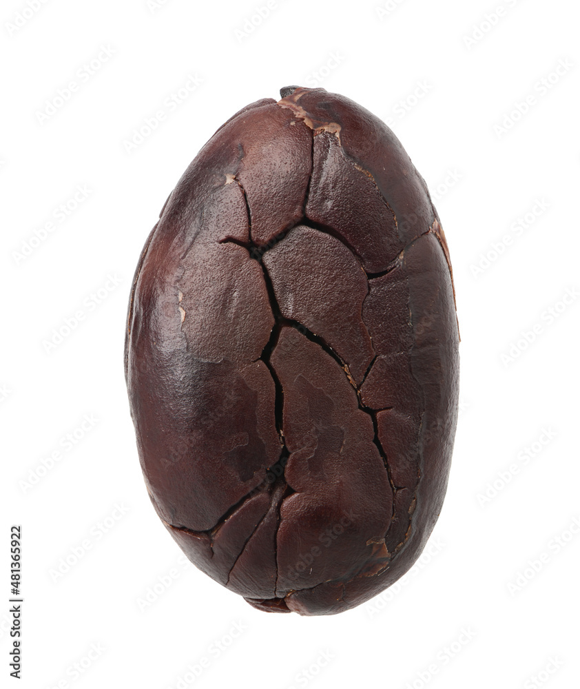 Close-up peeled Cocoa bean isolated on white background. Clipping path.