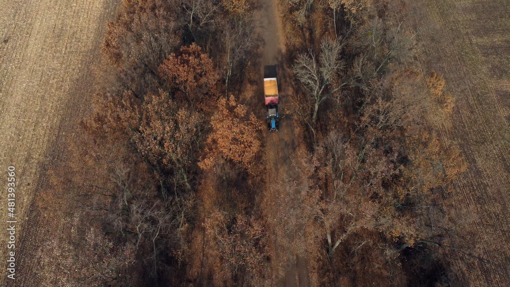 Aerial Drone View Flight Over Blue Tractor With Trailer Filled Yellow Corn Grain