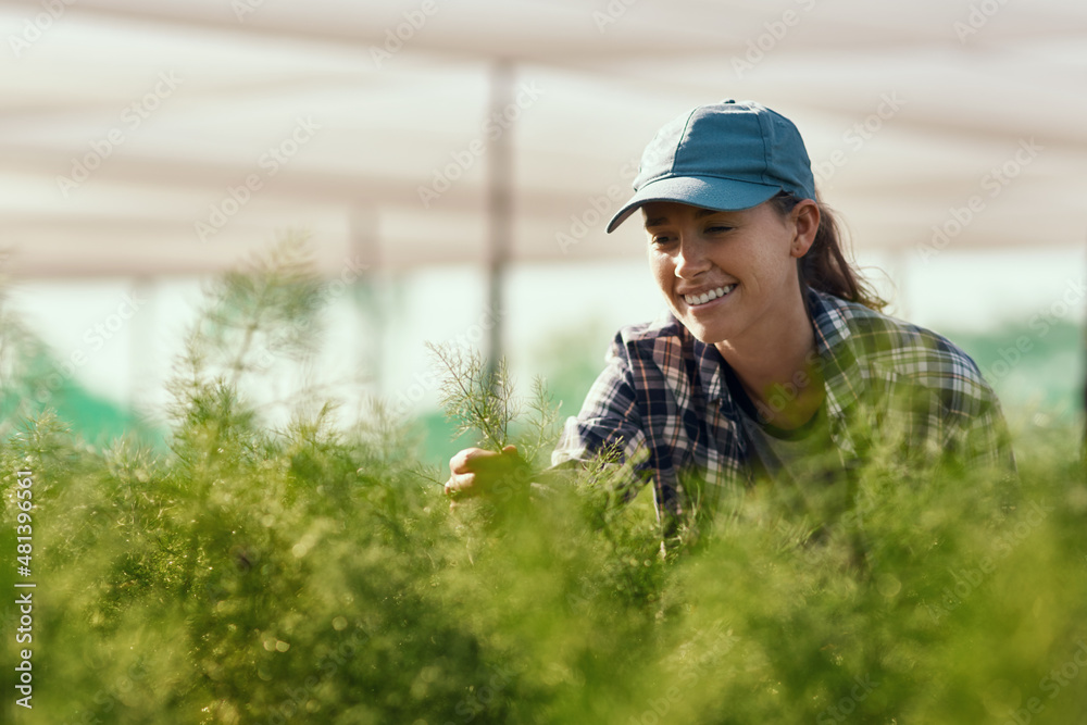 Giving each plant the love and care it needs