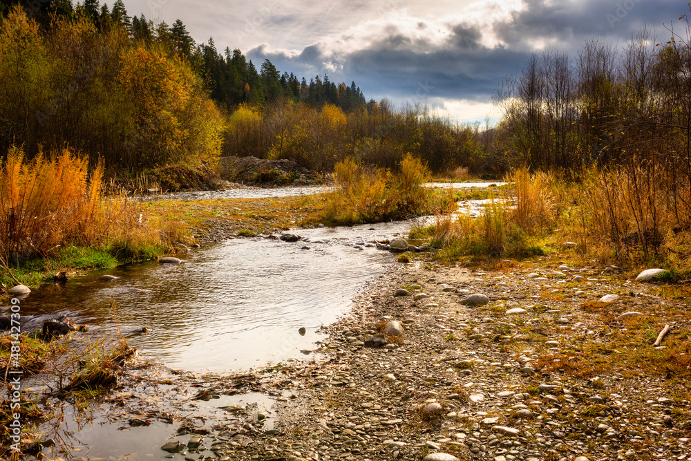 Beautiful landscape of the Bialka river in autumn. Poland