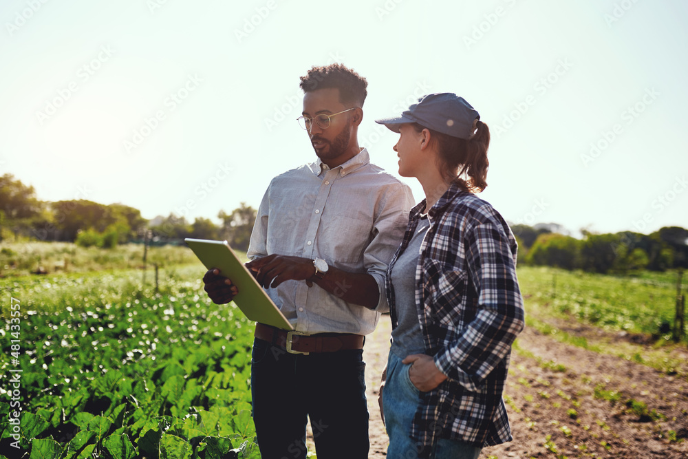 Our growth is phenomenal. Cropped shot of two young farmers looking at a tablet while working on the